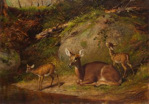 Doe ja Two Fawns, 1882.