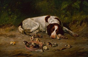 Hyvä Doggy tekijältä Arthur Fitzwilliam Tait