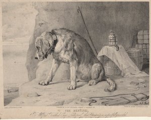 Vahti tekijältä Arthur Fitzwilliam Tait