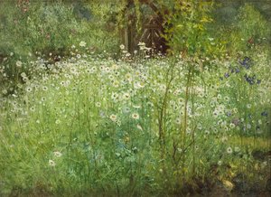 Oxeye Daisies and Irises, 1920 tekijältä Arthur Hacker