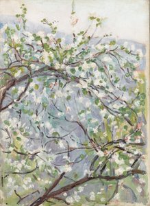 Blossom, noin 1900