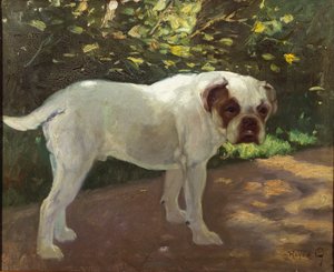 Bulldog puutarhapolulla (öljy kankaalle)
