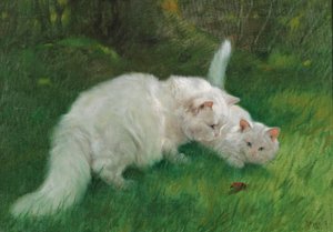 Arthur Heyer Mielenkiintoinen löytö vuonna 1923 tekijältä Arthur Heyer