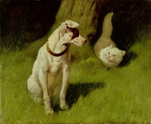 Valkoinen persiankissa ja Jack Russell