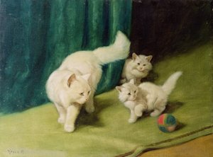 Valkoinen persialainen kissa ja kaksi pentua