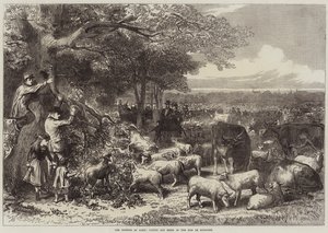 Pariisin puolustus, nautakarja ja lampaat Bois de Boulognessa
