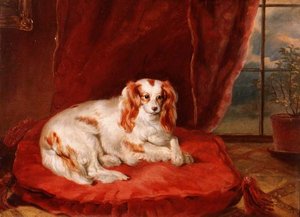 Cavalier King Charles -spanieli makaa punaisella tyynyllä tekijältä Arthur J. Stark