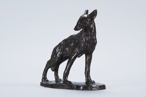 Alert Coyote (pronssi)