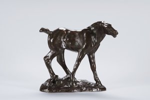 Colt (pronssi)