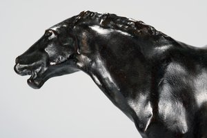 Colt (pronssi)