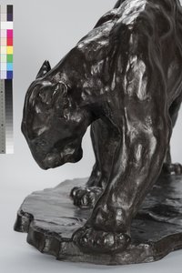 Suuri Puma Smeling Ox Track tekijältä Arthur Putnam