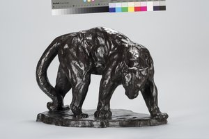 Suuri Puma Smeling Ox Track tekijältä Arthur Putnam