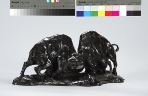 Kaksi Taistelevaa Buffaloa tekijältä Arthur Putnam