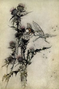 Juhannusyön unelma tekijältä Arthur Rackham
