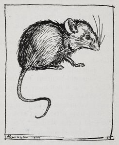 Hiiri tekijältä Arthur Rackham