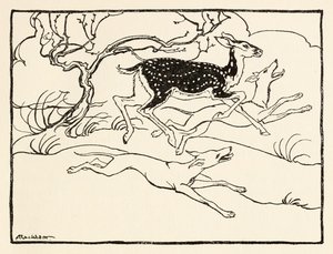 Becfola vaunuissaan elokuvasta The Wooing of Becfola in Irish Fairy TalesSee desc tekijältä Arthur Rackham