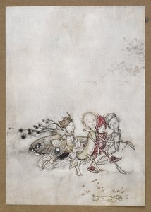 Anna hernekukka, hämähäkinverkko, koi ja sinapinsiemen. Kohtaus Kesäyön unelmasta. tekijältä Arthur Rackham
