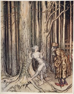 Fitchers Bird, teoksesta Little Brother & Little Sister ja muita Grimmin veljesten tarinoita, pub.1917 tekijältä Arthur Rackham