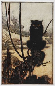Jorindan ja Joringelin kuvitus mustasta kissasta. tekijältä Arthur Rackham
