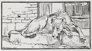 Kuvitus vanhasta sulttaanista koirasta. tekijältä Arthur Rackham