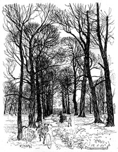 Peter Pan Kensington Gardensissa tekijältä Arthur Rackham