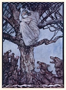 Hän katseli vihaisena surun silmin alla olevaa kireää ja räkivää laumaa. from The Wooing of Becfola in Irish Fairy Tales (Irlantilaiset sadut). tekijältä Arthur Rackham