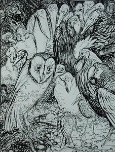 Pöllö ja linnut, kuvitus teoksesta Aesop