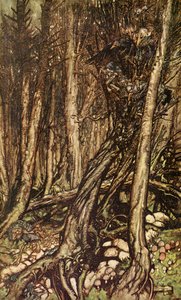 Undine Friedrich de la Motte Fouque tekijältä Arthur Rackham