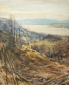 Coniston läheltä Tarn Howsia (akvarelli) (vesiväri)