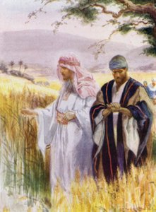 Jeesus ja hänen opetuslapsensa viljapellolla (väri litho)