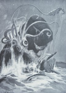 Kraken vs. spermavalaat