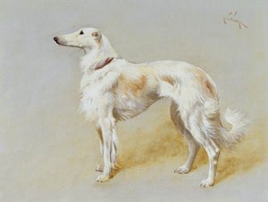 Borzoi-koira (öljy kankaalle)