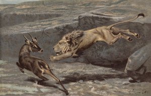 Yöllinen hyökkäys (chromolitho) tekijältä Arthur Wardle
