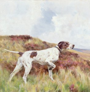 Osoitin (öljyä aluksella) tekijältä Arthur Wardle