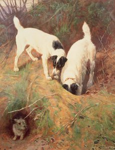 Onko ketään kotona? tekijältä Arthur Wardle
