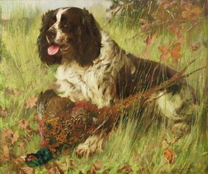 Springerspanieli fasaanin kanssa tekijältä Arthur Wardle