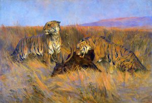 Tigers at Kill (öljy kankaalle) tekijältä Arthur Wardle