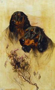Kaksi Gordon-setteriä (öljy kankaalle) tekijältä Arthur Wardle