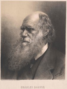 Charles Darwin tekijältä Artist Unknown