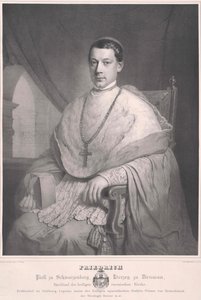 Frederick kreivi Schwarzenberg-Krumau tekijältä Artist Unknown