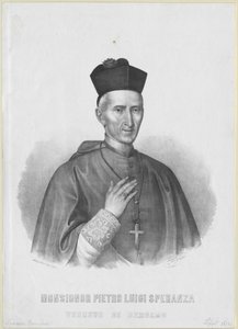 Pietro Luigi Speranza tekijältä Artist Unknown