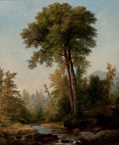Luonnollinen monarkki tekijältä Asher Brown Durand