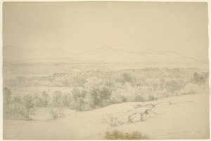 Maisema, Barrytown, New York, 1865 (grafiitti ruskealla paperilla)