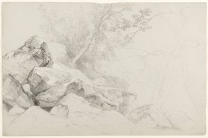 Study of Rocks with Trees, Haag, Lake George, New York, 1862 (grafiitti harmaalle paperille) tekijältä Asher Brown Durand