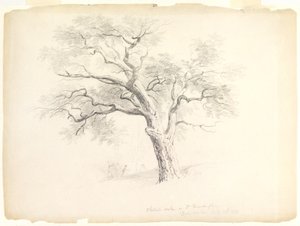 Chestnut Oak Hosack Estatessa, Hyde Park, New York, viisi hahmoa ja taiteilijapiirros, 1838 (grafiitti paperille) tekijältä Asher Brown Durand