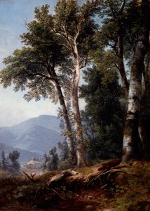 Metsämaisema tekijältä Asher Brown Durand
