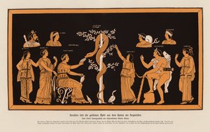 Herakles varastaa kultaiset omenat Hesperidien puutarhasta (värilitografia). tekijältä Asteas Asteas