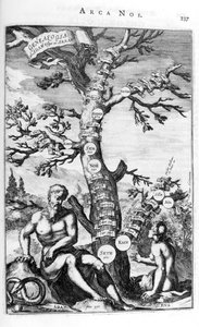 Aadamin sukututkimuspuu, 1675. tekijältä Athanasius Kircher