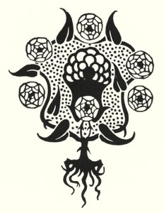 Suunnittelu "Salomen" etukanteen tekijältä Aubrey Beardsley