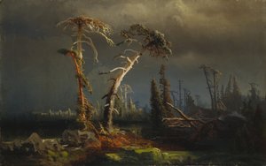 Nousevat myrskyt - kuoleva aarniometsä myrskyissä (öljy kankaalle)
